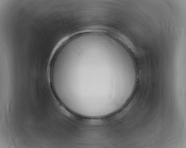 X0000112041180200908031036