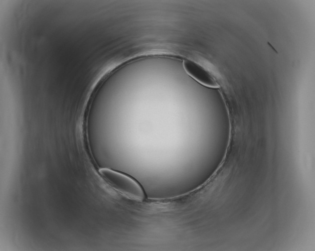 X0000112041181200908031036