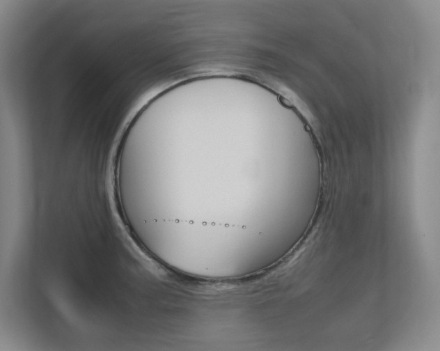 X0000112041187200908031036