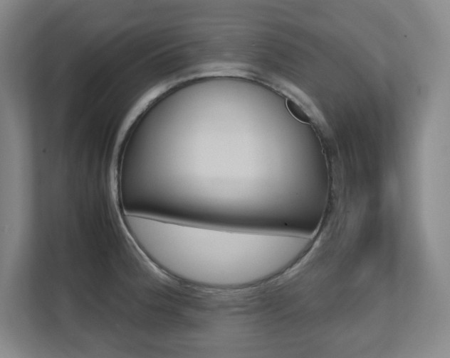 X0000112041188200908031036