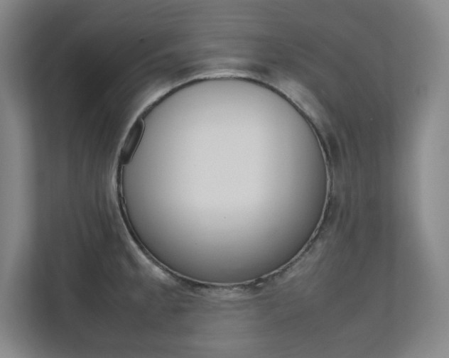 X0000112041189200908031036