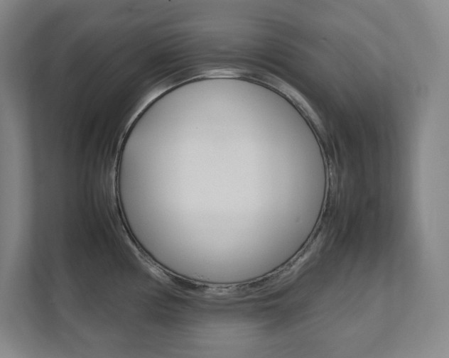 X0000112041194200908031036