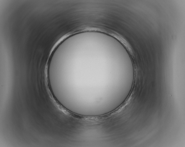 X0000112041198200908031036