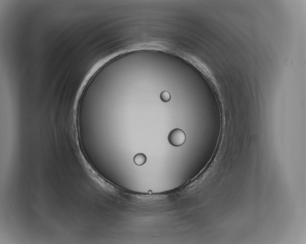X0000112041200200908031036
