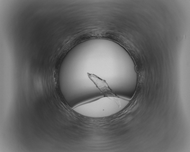 X0000112041202200908031035