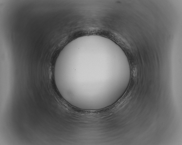 X0000112041204200908031035