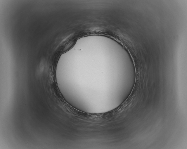 X0000112041205200908031035