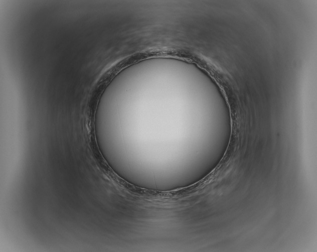 X0000112041206200908031035