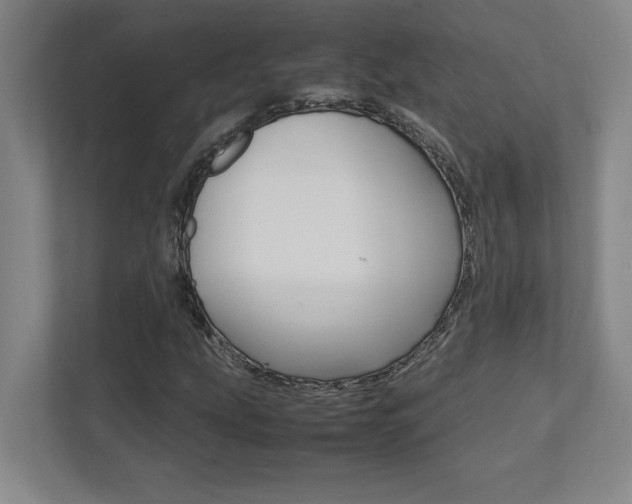 X0000112041207200908031035