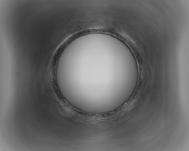 X0000112041208200908031035