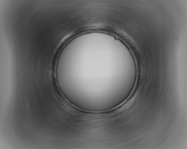 X0000112041210200908031035