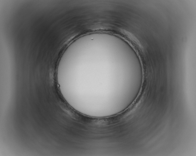 X0000112041217200908031035
