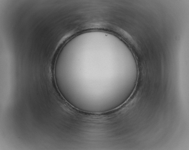 X0000112041218200908031035