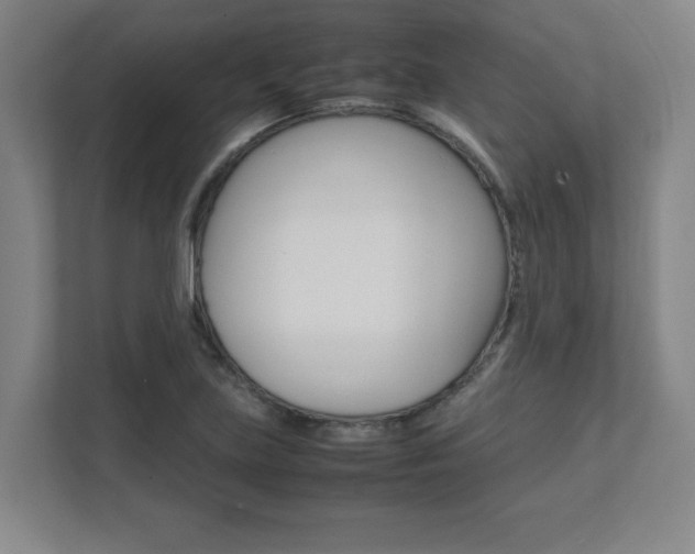 X0000112041219200908031035