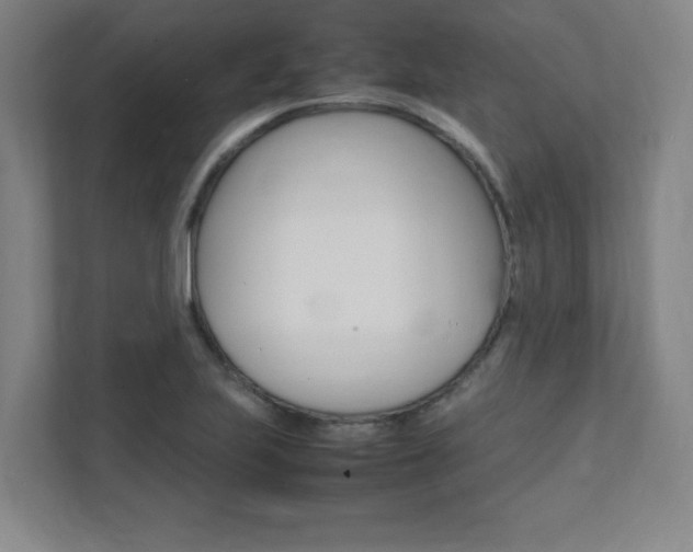 X0000112041223200908031035