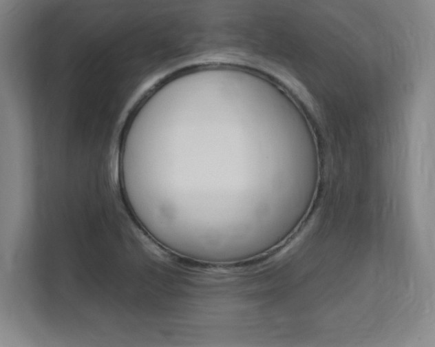 X0000112041224200908031035