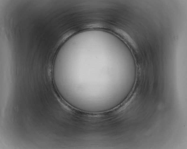 X0000112041225200908031035