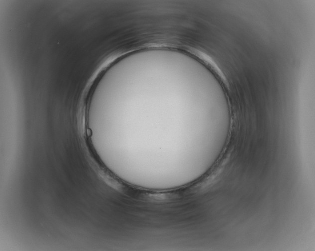 X0000112041227200908031035