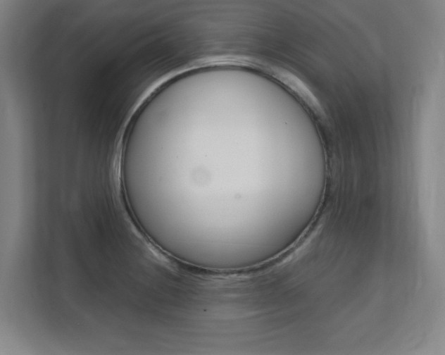 X0000112041228200908031035