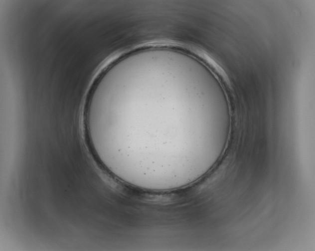 X0000112041229200908031036