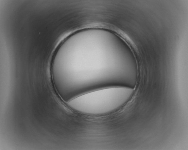 X0000112041230200908031036