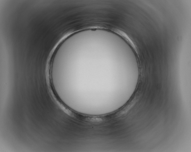 X0000112041235200908031036