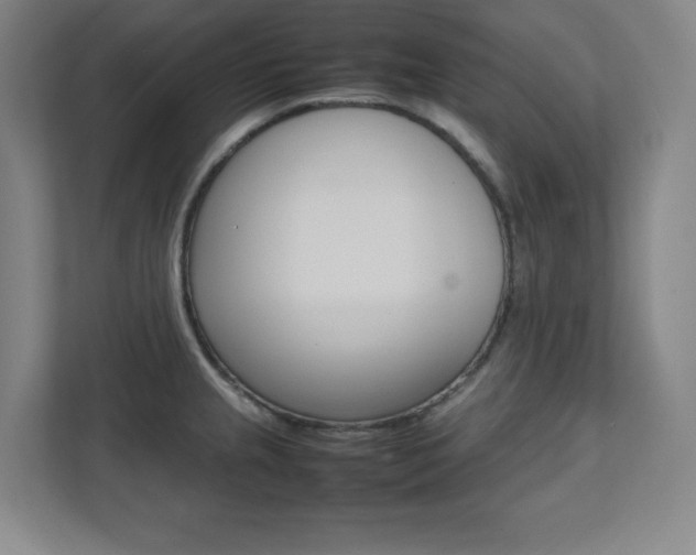X0000112041237200908031036