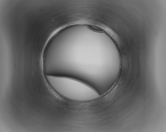 X0000112041238200908031036