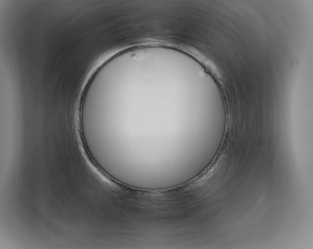 X0000112041239200908031036