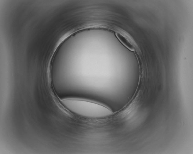 X0000112041242200908031036