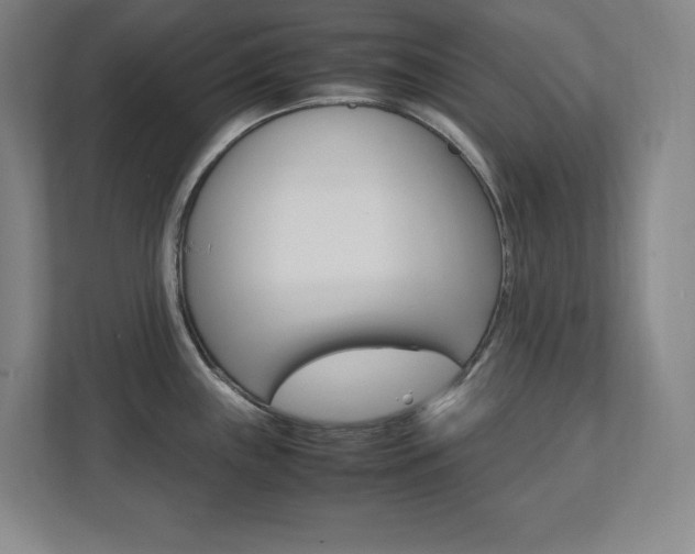 X0000112041243200908031036