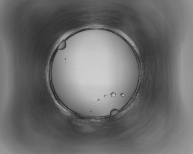 X0000112041245200908031036