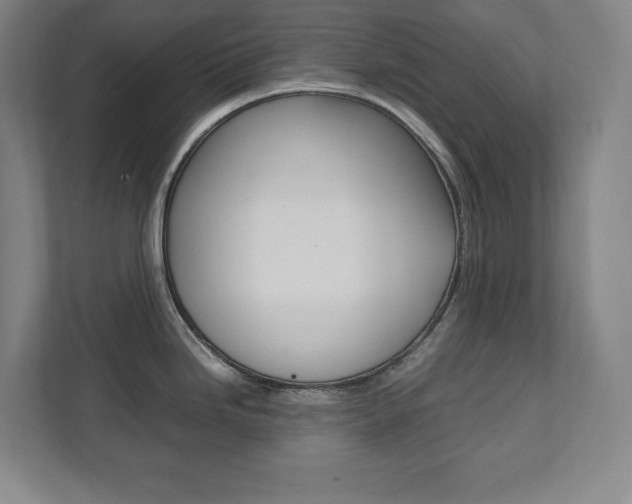 X0000112041246200908031036