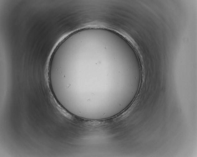 X0000112041248200908031036