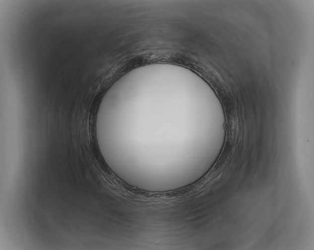X0000112041250200908031035