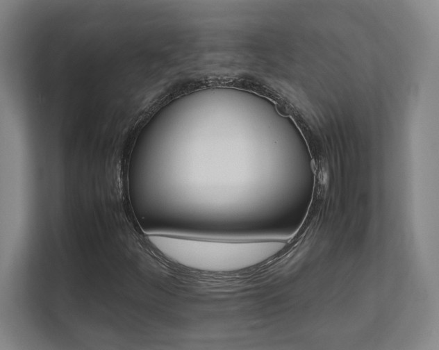 X0000112041252200908031035