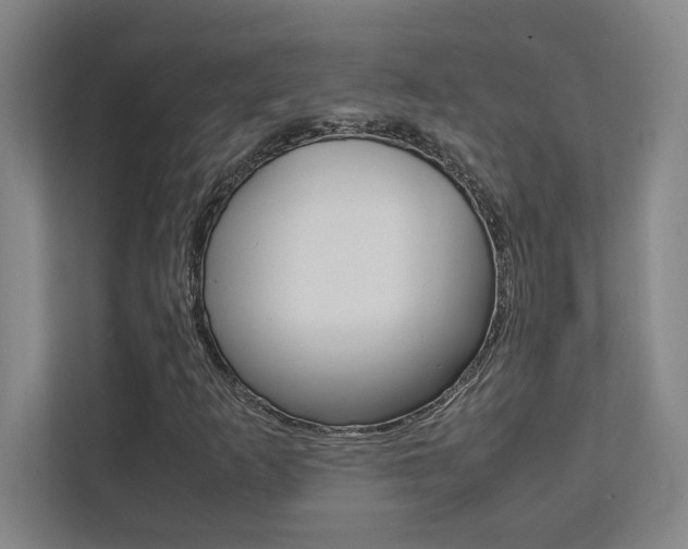 X0000112041253200908031035