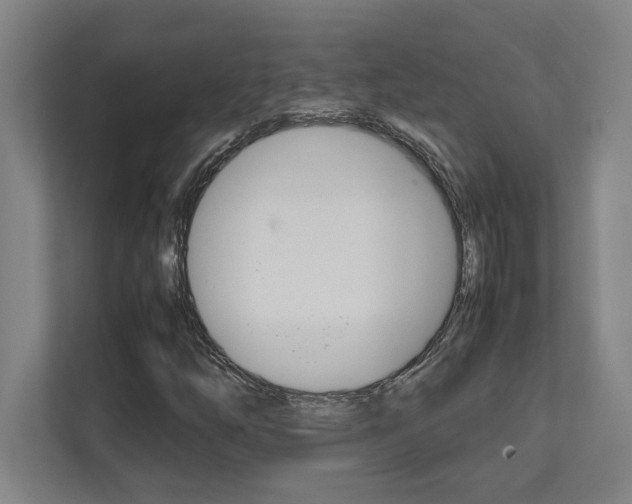 X0000112041254200908031035