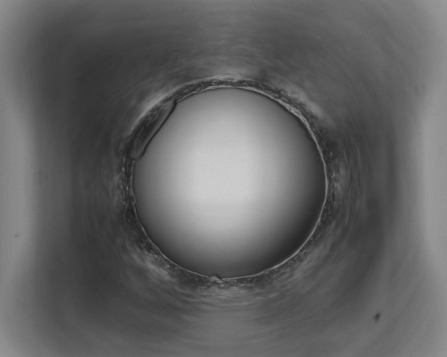 X0000112041256200908031035