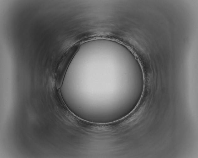 X0000112041257200908031035