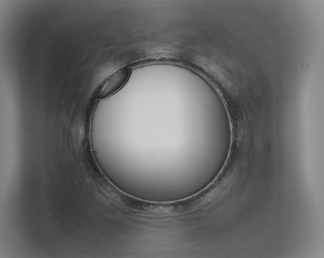 X0000112041261200908031035