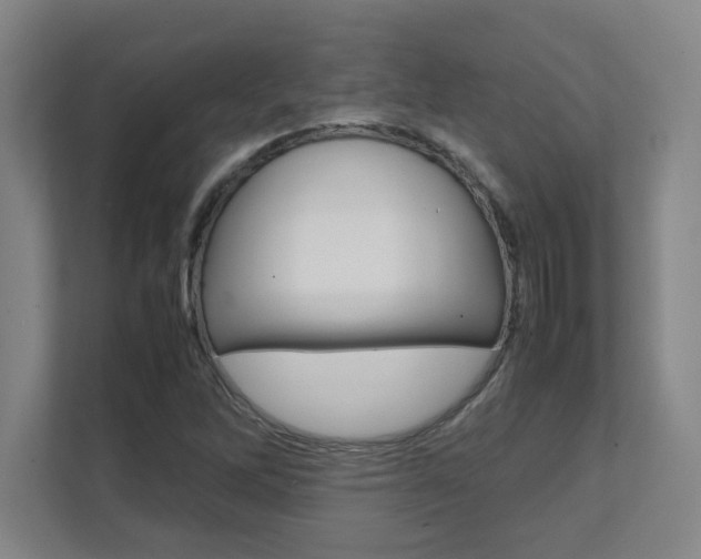 X0000112041262200908031035