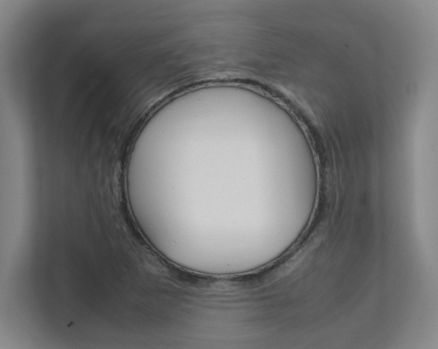 X0000112041265200908031035