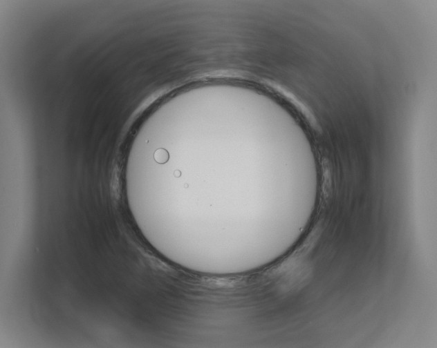 X0000112041266200908031035