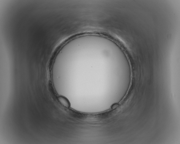 X0000112041267200908031035