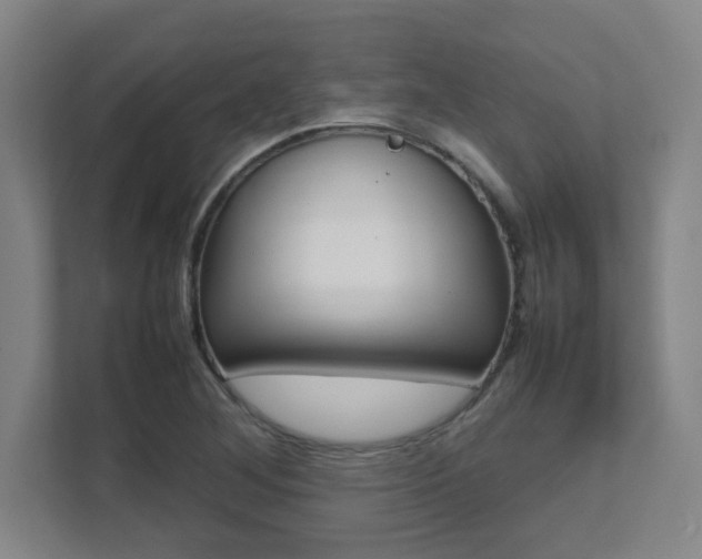 X0000112041268200908031035