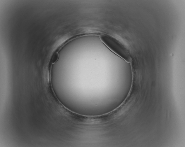 X0000112041269200908031035