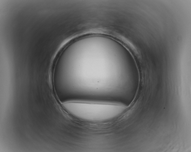 X0000112041272200908031035