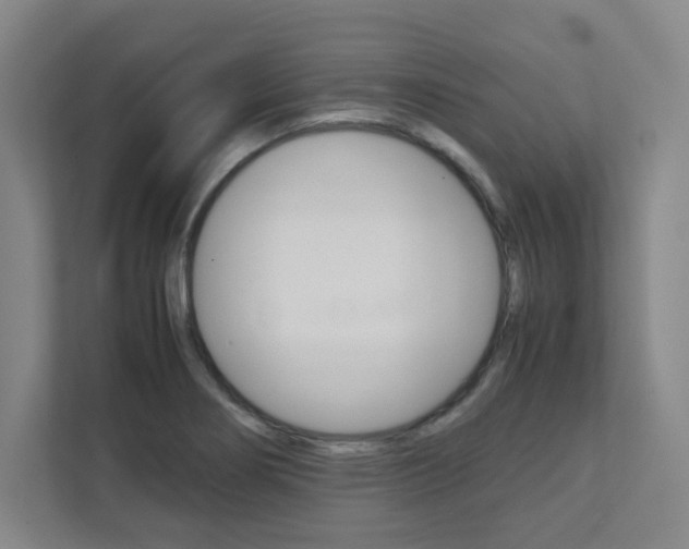 X0000112041274200908031035