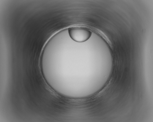 X0000112041276200908031035